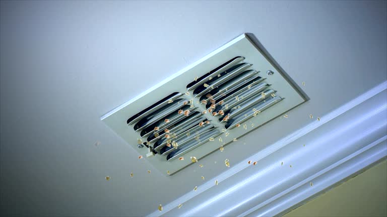 Best Ventilation Cleaning Services  in Victoria, TX