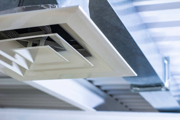 Best Air Duct Mold Removal  in Victoria, TX