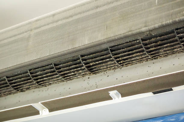 Best Home Air Vent Cleaning  in Victoria, TX